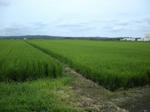 DSCN4497.JPG