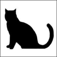 081021cat01.jpg