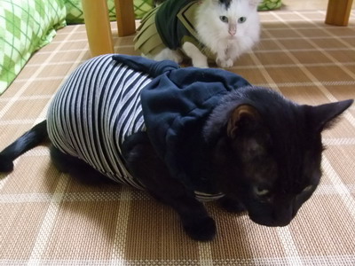 ムク＆ロッくん