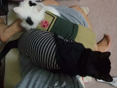 ムク＆ロッくん