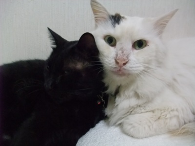 ロッくん＆ムク