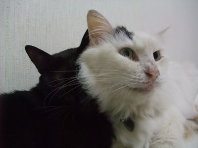 ロッくん＆ムク