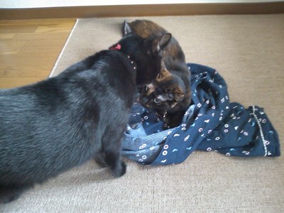 ロッくん＆ココ