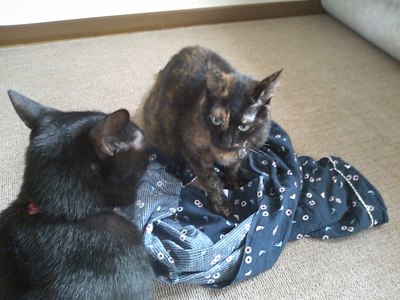 ロッくん＆ココ