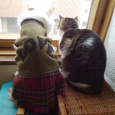 ムク＆ちゃちゃ