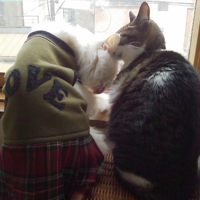 ムク＆ちゃちゃ