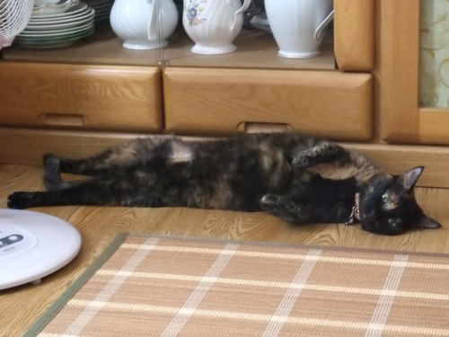 ココ