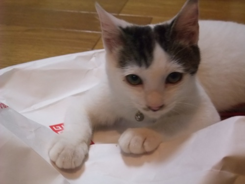 テテ