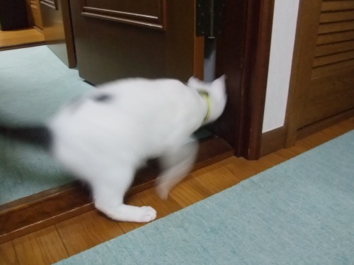 テテ