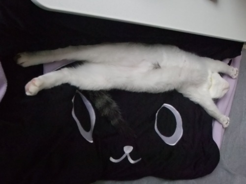 テテ