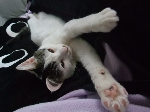 テテ