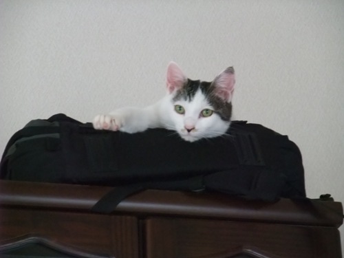テテ