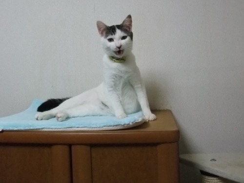 テテ