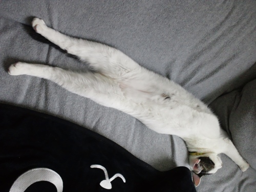 テテ