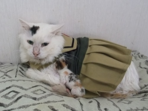 ムク＆チビにゃん