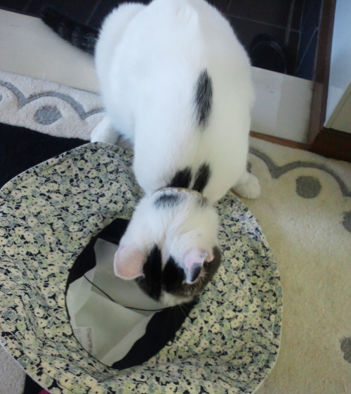 テテ