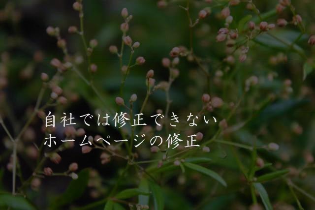 自社では修正できないホームページの修正
