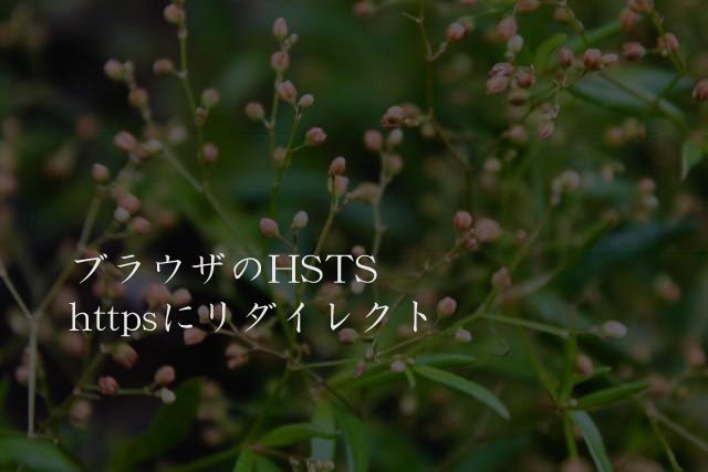 ブラウザのHSTS httpsにリダイレクト