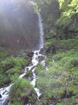 CA390157001.JPG