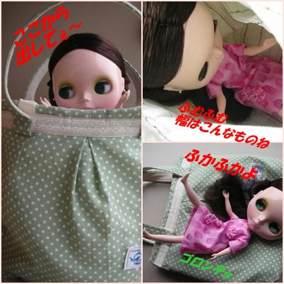 goninbag.jpg