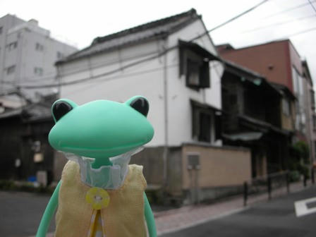 DSCN6443.jpg
