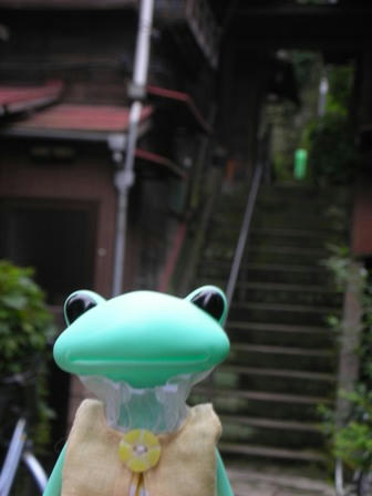DSCN6451.jpg