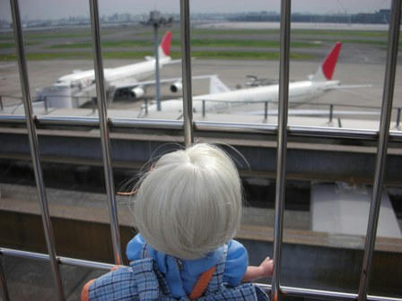 DSCN6508.jpg