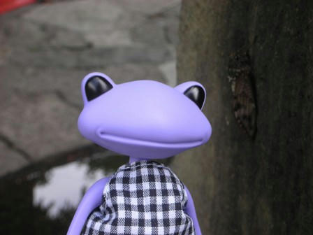 DSCN6525.jpg
