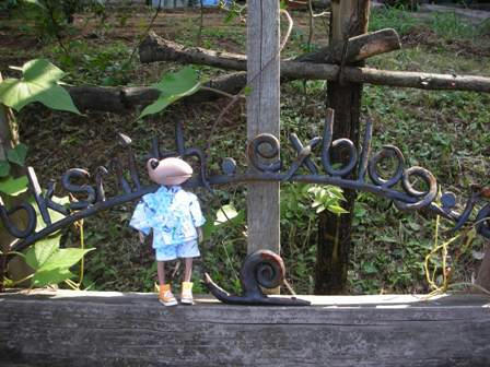 DSCN6655.jpg