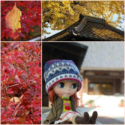 hongakuji.jpg