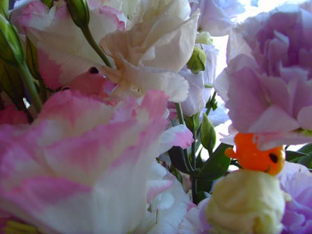 VVC_00638.jpg