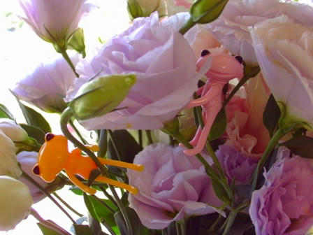 VVC_00643.jpg