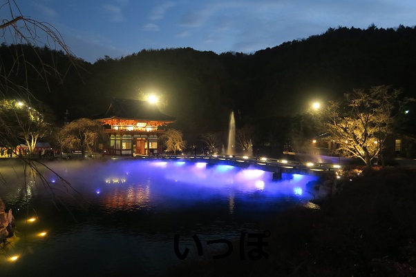 勝尾寺　夜景