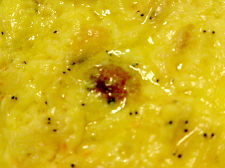 DSC01100.JPG