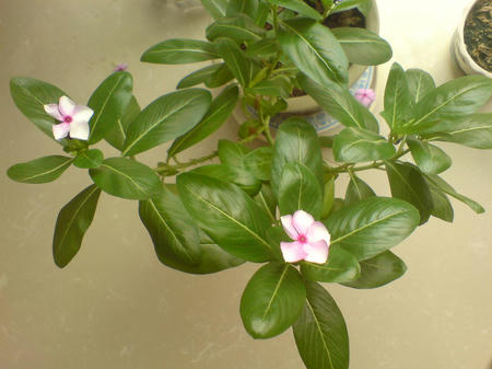 DSC00764.JPG