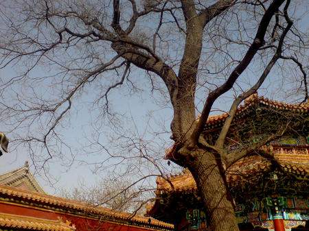 DSC01117.JPG