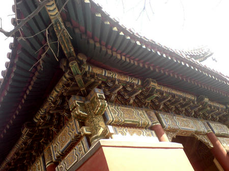 DSC01122.jpg