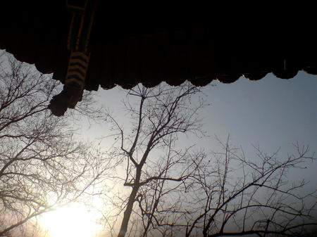 DSC01127.JPG