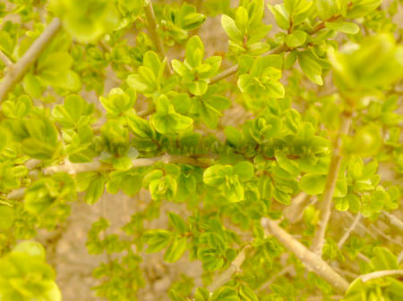 DSC01180.JPG