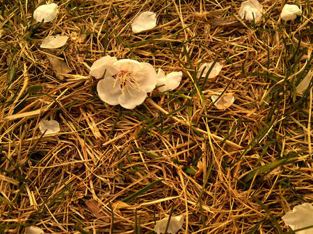 DSC01182.JPG