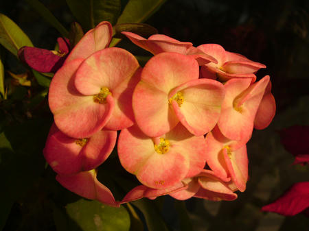 DSC01361.JPG