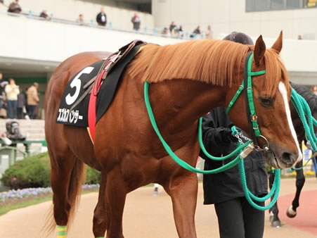 スズカスペンサー