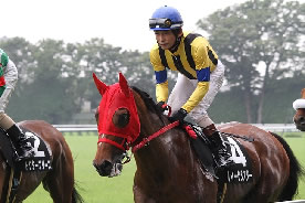 ルイーザシアター