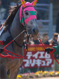 テイエムハリアー