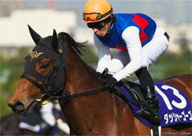 ダッシャーゴーゴー高松宮記念