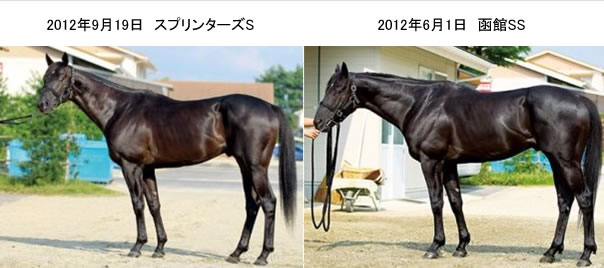 ドリームバレンチノのフォトパドック1