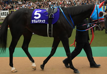 サダムパテック