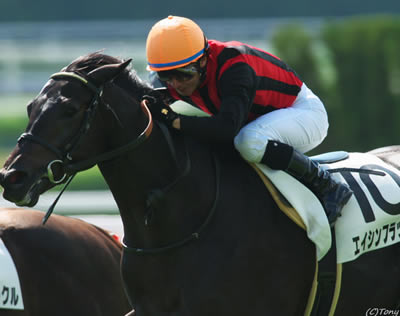 エイシンフラッシュ