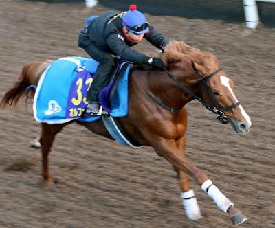 オルフェーヴル出走回避