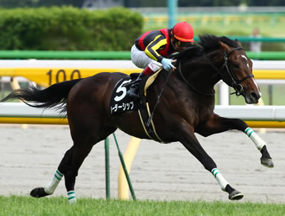 ルーラーシップ